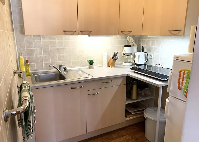 Panorama Deluxe Studio-top 12 Капрун